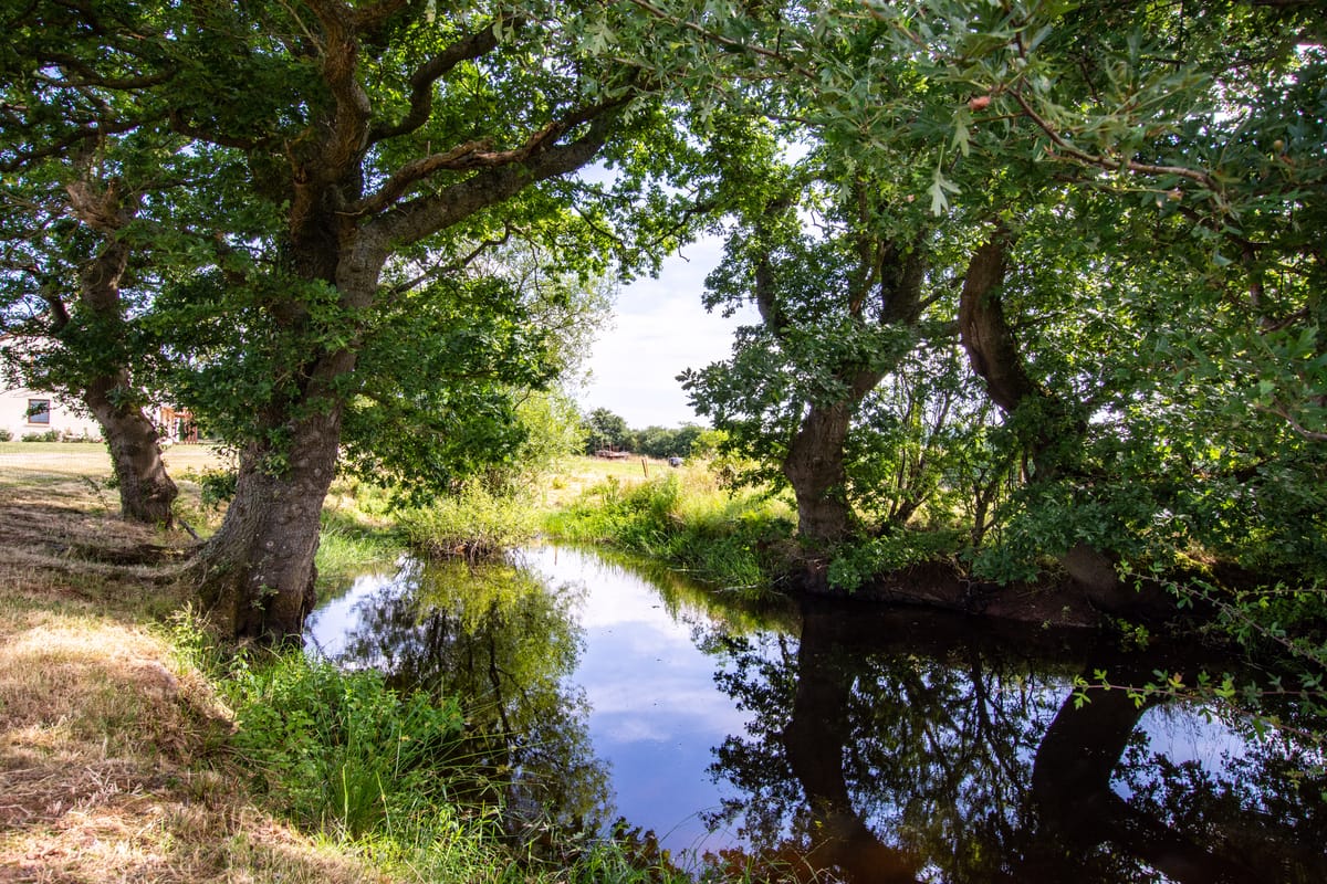Stream running through the grounds at High Cloud Farm and Barn family and friends holiday accommodation www.bhhl.co.uk